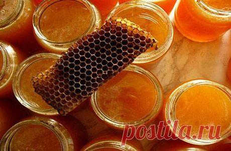 ПРОПОЛИС ПРИ ОНКОЗАБОЛЕВАНИЯХ.