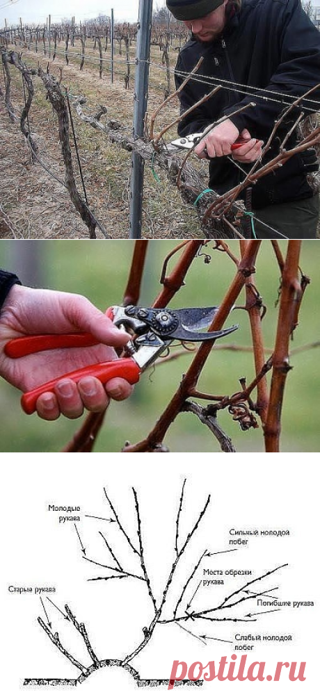 Одноклассники