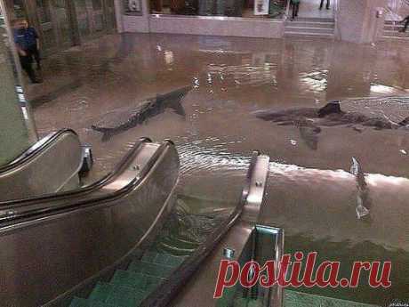 3D рисунок на полу в супермаркете..!ЖМИТЕ КЛАСС и посмотрите изменений в рисунке.
