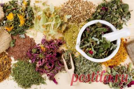 Монастырская травница: &quot;Хотите быть Здоровыми - накопайте себе три корня — лопуха, пырея и одуванчика!&quot;.