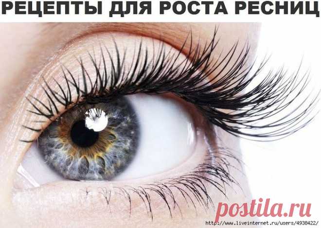 сообщение Лада_Германовна : Рецепты для роста ресниц. (09:36 25-07-2015) [4938422/367837608] - lada.semenova.69@mail.ru - Почта Mail.Ru