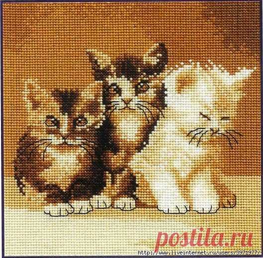 Котята.