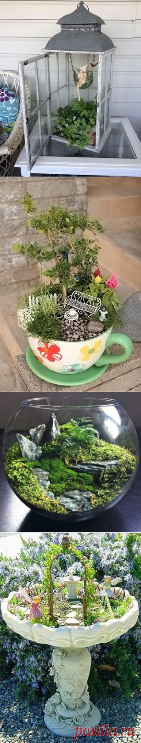 ВОЛШЕБНЫЕ МИНИ САДЫ