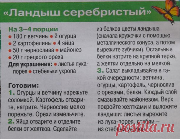 Салат Ландыш серебристый
