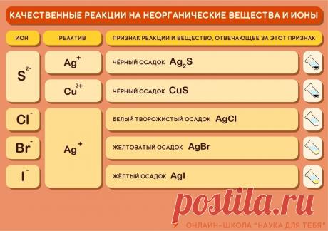 NTfF4Iwwv8A.jpg (1280×901)