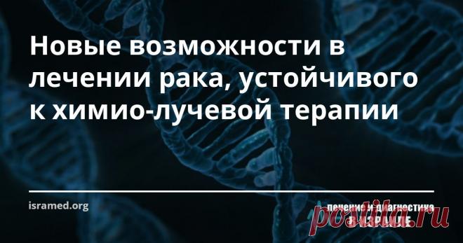 Новые возможности в лечении рака, устойчивого к химио-лучевой терапии Методика клеточной иммунотерапии позволила открыть новые возможности в области онкологии, показав, что пациентов с гематологическими злокачественными новообразованиями, устойчивыми к высокодозной химио-/лучевой терапии, можно успешно излечить посредством трансплантации донорских стволовых клеток, а предотвратить рецидив можно при помощи инфузии донорских лимфоцитов (внутривенное введение вещества). Иннов...