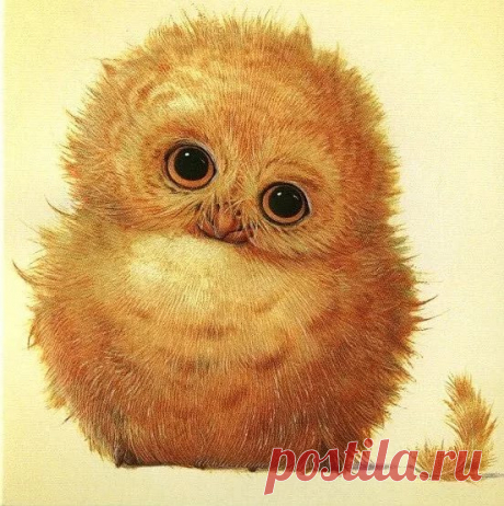 совушки картинки: 14 тыс изображений найдено в Яндекс.Картинках