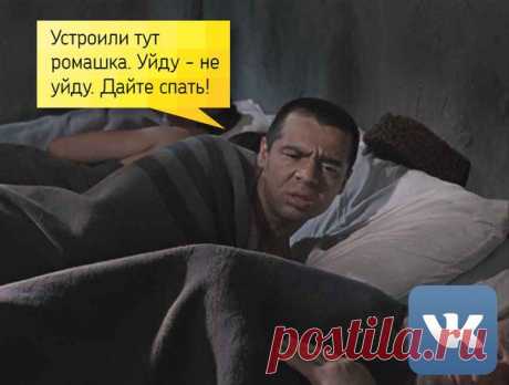 Светлана Болотова