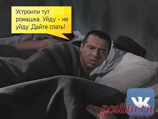 Светлана Болотова