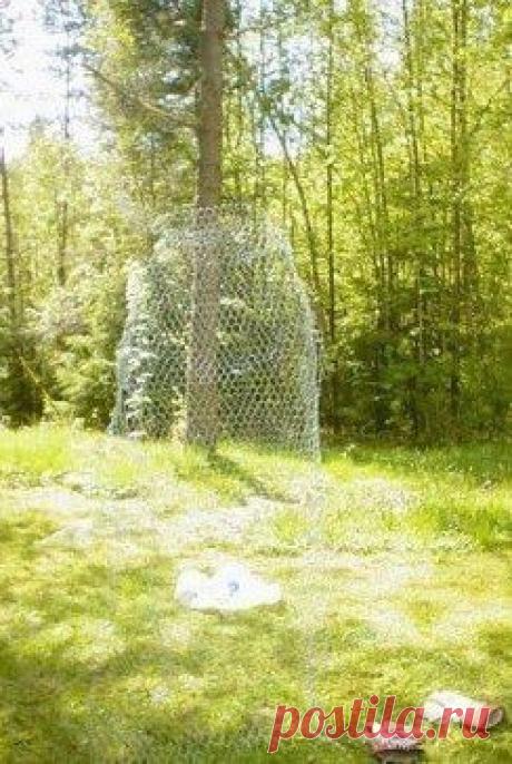 (63) Одноклассники