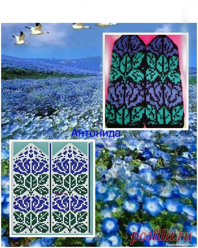 Варежки Цветы.. Цветы.. Схемы. Связаны спицами. | Вязание спицами аксессуаров