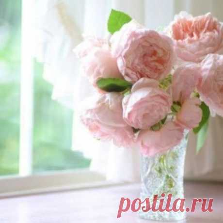 Вещи, про которые говорят, что они притягивают счастье в дом