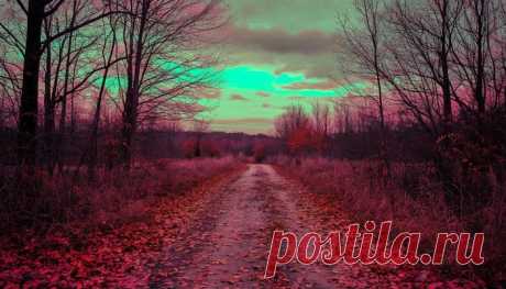 [тест] Яркий листопад или промозглый дождь — какая ты осенняя погода? — Тесты | Промозглый дождь
В тебе глубина и сила. Ты умеешь быть честным с собой и другими, не боишься заглядывать внутрь и находить там ответы. Люди тянутся к тебе за мудростью и спокойствием. Ты как дождь, который очищает воздух и оставляет после себя свежесть и новые смыслы.