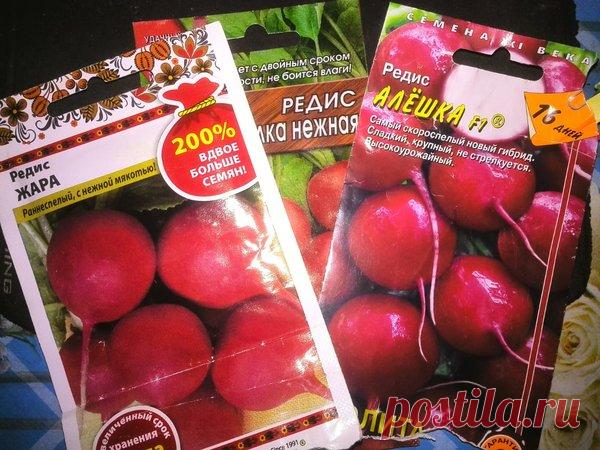 Уникальная посадка редиса осенью в лотки из под яиц | Дачные секреты от Виктории Радзевской | Яндекс Дзен