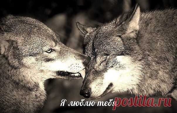 1 непрочитанный чат