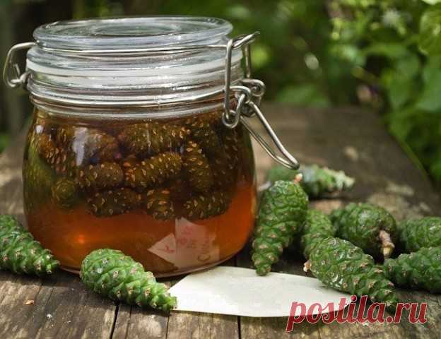 ИНСУЛЬТ БОИТСЯ СОСНОВЫХ ШИШЕК 

Спиртовая настойка зрелых сосновых шишек с яблочным уксусом. 

5 зрелых сосновых шишек залить 0,25 литра спирта (70%) или хорошей водкой. Настоять при комнатной температуре 10 дней. Затем процедить и 
добавить 1 чайную ложку домашнего яблочного уксуса (можно заменить 
виноградным). Ежедневно на ночь пить 1 стакан некрепкого чая, в который добавлена 1чайная ложка этой настойки. Желательно с медом. Применяется в 
народной медицине для лечения ...