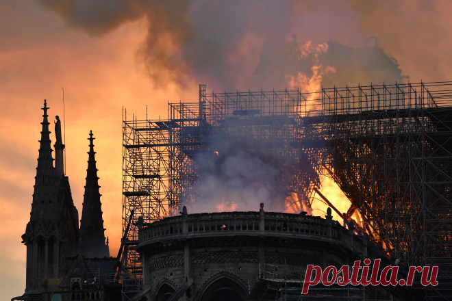 Фото: globallookpress.com  |  Нотр-Дам-де-Пари пережил войны..." - протоиерей Андрей Ткачёв