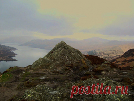 Суровая красота