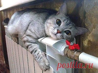 Мой Мир@Mail.Ru
