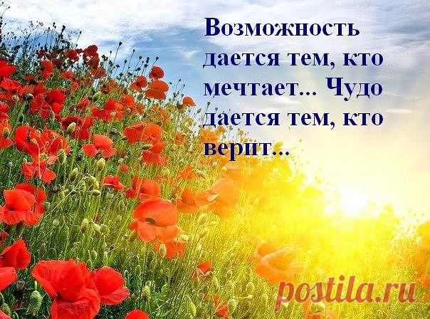 Фразы,Высказывания,Стихи,Цитаты,Видео,Картинки.
Ольга Титаренко (Косенко)