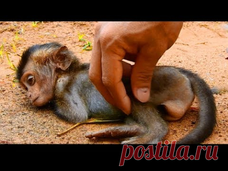 P116-Baby Lori Need Someone Padding and Massaging For Her|  Before Going To Meet Mommy This Morning