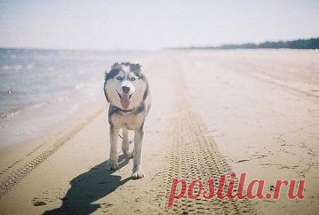 Одноклассники