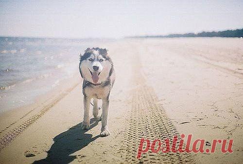 Одноклассники