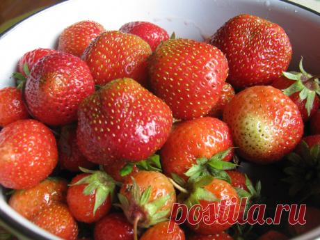 Каждое утро тебя встречает день, в котором ты никогда не был. Каждое утро тебя ожидает мир, который ты никогда не видел. Вкуснотищи и красотищи тебе в ленту.
................. 
#3DКарьера - Стиль жизни. Возможности. 
Заходи на сайт - ссылка в профиле
.................
#всемхорошегонастроения #вкусняшки #лето #клубника #мир #открыт #длятебя