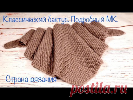 Классический бактус. Подробный экспресс МК.