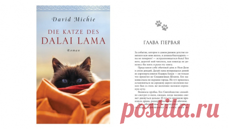 От первого лица. Книги, «написанные» кошками. Часть 2 - Питомцы Mail.ru