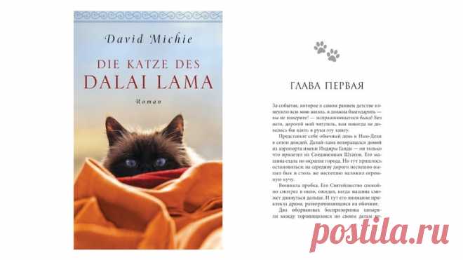 От первого лица. Книги, «написанные» кошками. Часть 2 - Питомцы Mail.ru