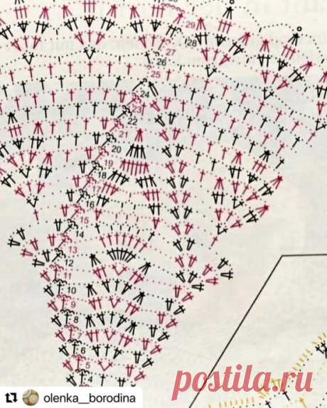 Кружевная красотка