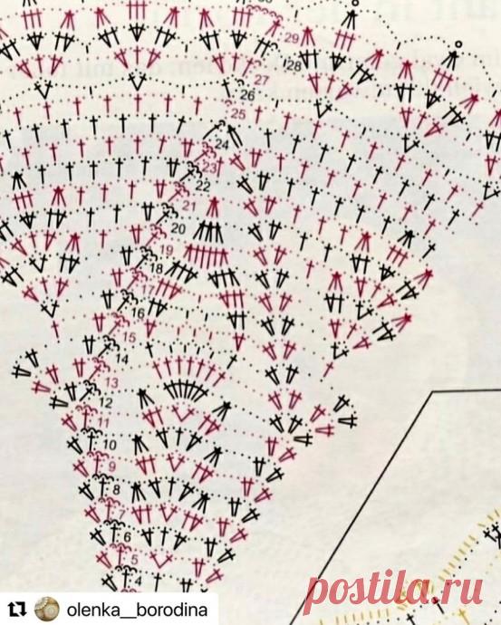 Кружевная красотка