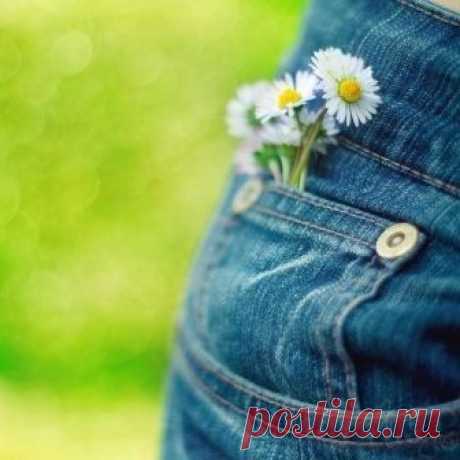 Хочу Всё Знать - Фото