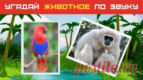 Угадай животное по звуку! Тест про животных. Сколько зверей и птиц ты знаешь? | Дом тестов