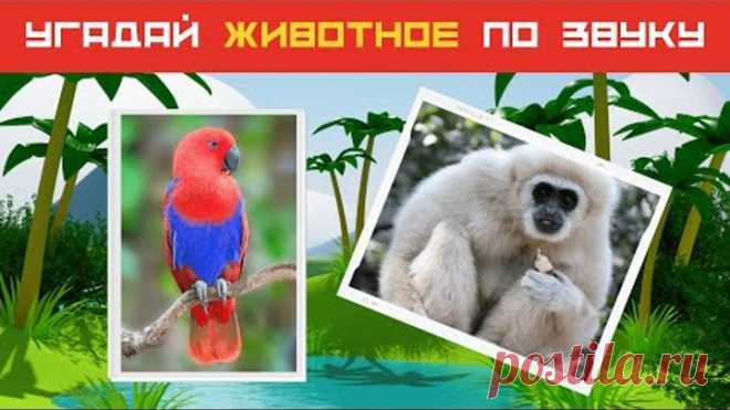 Угадай животное по звуку! Тест про животных. Сколько зверей и птиц ты знаешь? | Дом тестов