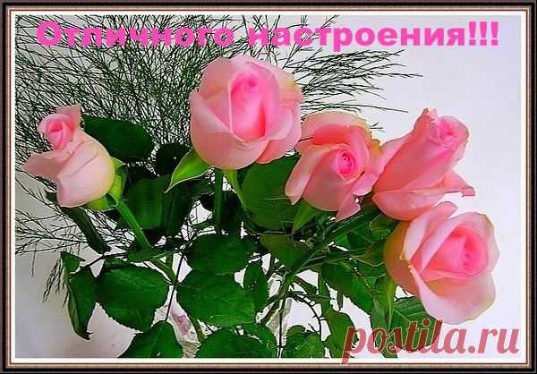 Плейкаст «ОТЛИЧНОГО НАСТРОЕНИЯ !!!»
