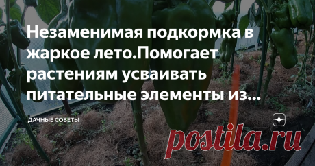 Незаменимая подкормка в жаркое лето.Помогает растениям усваивать питательные элементы из почвы.