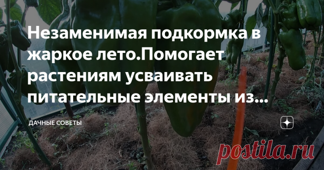 Незаменимая подкормка в жаркое лето.Помогает растениям усваивать питательные элементы из почвы.