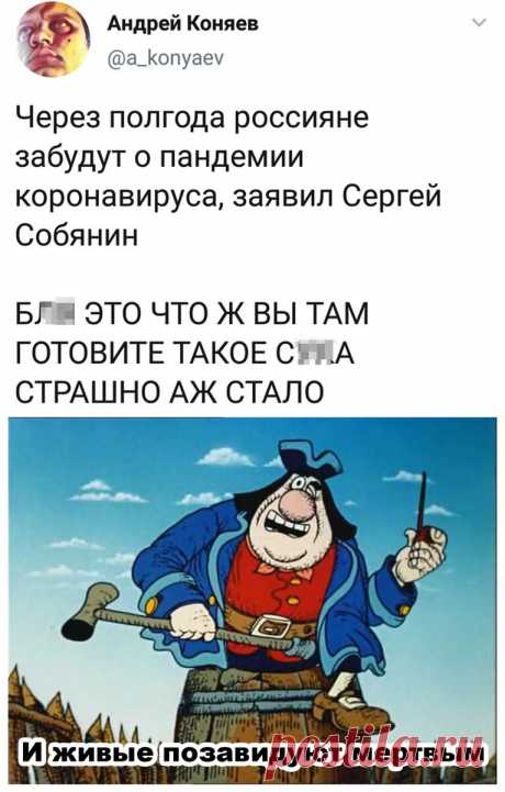 Смешно! Весёлая подборка для поднятия настроения👍🤣 | Мадам Геко | Яндекс Дзен