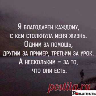 (14) Рашпиль - Публикации