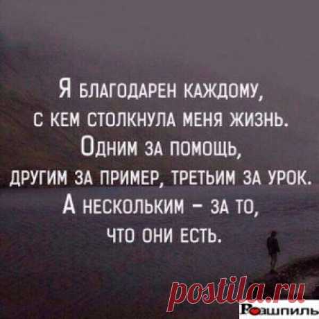 (14) Рашпиль - Публикации