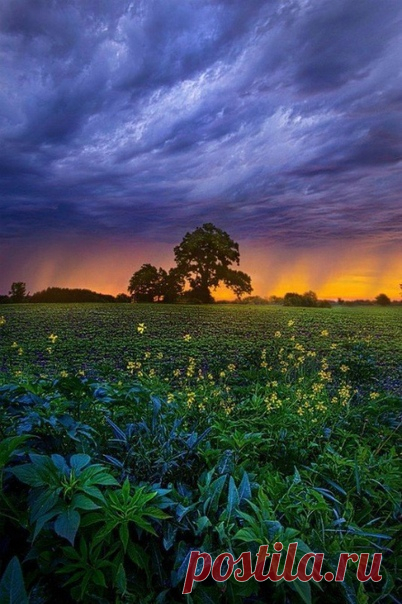 Каждое мгновение - это удар сердца Вселенной и нет лучше способа наполнить душу покоем, чем прислушаться к его биению, позволив себе очароваться настоящим моментом. Почти неуловимый взмах крыльев бабочки; хрустальная капля росы, ползущая по бархатному лепестку цветка; тающая розовая утренняя дымка над горизонтом - каждый такой миг наполнен истинной красотой и потому бесценен.

Оксана Залилова