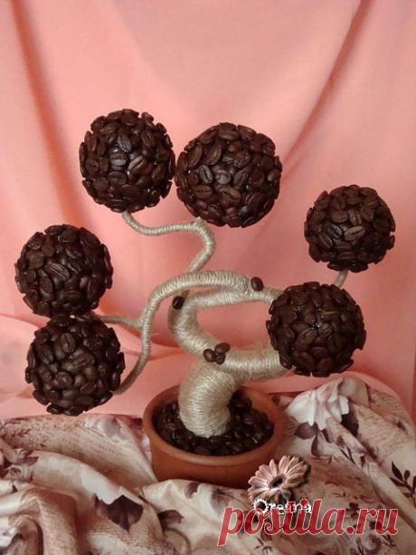 Кофейный баобаб. Мастер-класс..