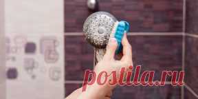 Как почистить душевую лейку: 6 простых способов - Лайфхакер