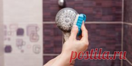 Как почистить душевую лейку: 6 простых способов - Лайфхакер