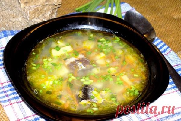 Суп из консервированной сардины — MOJAKUHNJA.ru