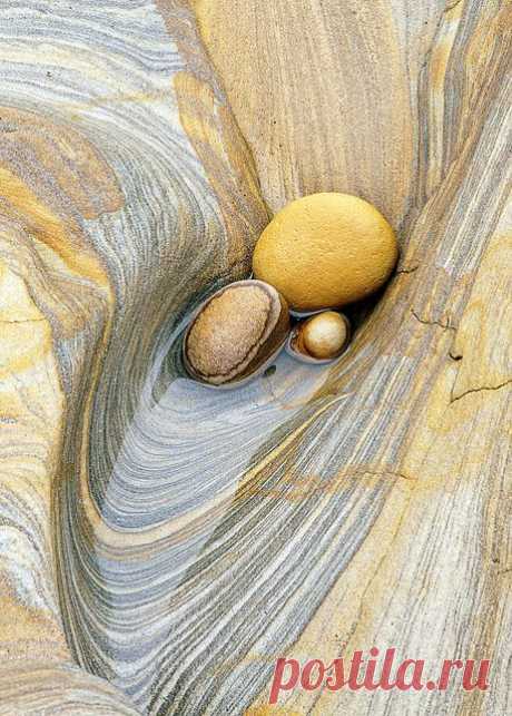 Rock formation on the coast of Northumberland, England by Ray Bradshaw