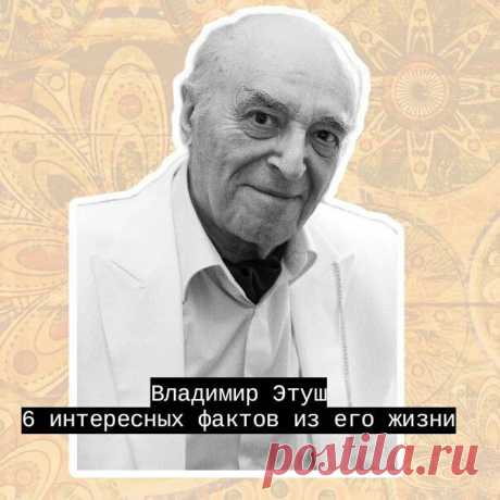 Бабулиta | Яндекс Дзен