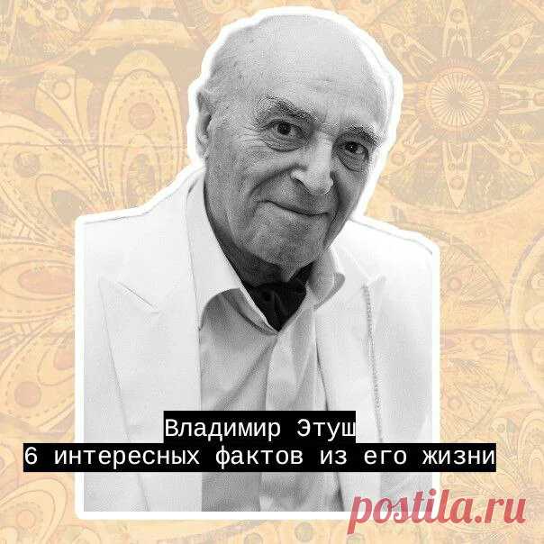Бабулиta | Яндекс Дзен